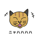 猫のあるある（個別スタンプ：31）