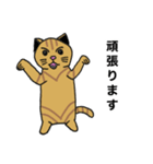 猫のあるある（個別スタンプ：33）