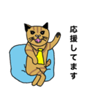 猫のあるある（個別スタンプ：34）