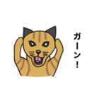 猫のあるある（個別スタンプ：35）