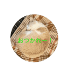 つくきな日常（個別スタンプ：4）