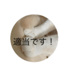 つくきな日常（個別スタンプ：5）