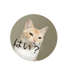 つくきな日常（個別スタンプ：8）