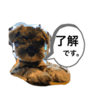 ノアの良く使うBEST40（個別スタンプ：4）