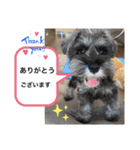 ノアの良く使うBEST40（個別スタンプ：8）