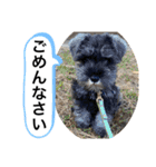 ノアの良く使うBEST40（個別スタンプ：12）