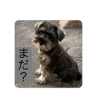 ノアの良く使うBEST40（個別スタンプ：13）