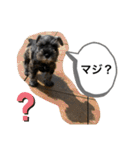 ノアの良く使うBEST40（個別スタンプ：16）