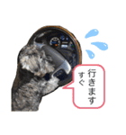 ノアの良く使うBEST40（個別スタンプ：17）