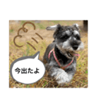 ノアの良く使うBEST40（個別スタンプ：18）