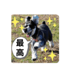 ノアの良く使うBEST40（個別スタンプ：19）