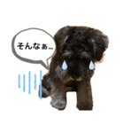 ノアの良く使うBEST40（個別スタンプ：21）