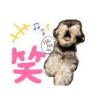 ノアの良く使うBEST40（個別スタンプ：22）