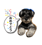 ノアの良く使うBEST40（個別スタンプ：23）