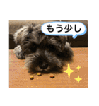 ノアの良く使うBEST40（個別スタンプ：24）