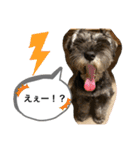 ノアの良く使うBEST40（個別スタンプ：25）
