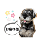 ノアの良く使うBEST40（個別スタンプ：29）