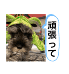 ノアの良く使うBEST40（個別スタンプ：30）