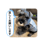 ノアの良く使うBEST40（個別スタンプ：31）