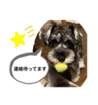 ノアの良く使うBEST40（個別スタンプ：34）