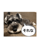 ノアの良く使うBEST40（個別スタンプ：36）
