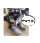 ノアの良く使うBEST40（個別スタンプ：38）