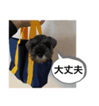 ノアの良く使うBEST40（個別スタンプ：39）