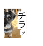 ノアの良く使うBEST40（個別スタンプ：40）