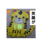 ずっと使える！可愛いとらさんスタンプ♪（個別スタンプ：37）