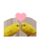 ぽぽ☆ぴの☆しゃるもち☆とら（個別スタンプ：5）