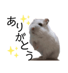 ぽぽ☆ぴの☆しゃるもち☆とら（個別スタンプ：18）