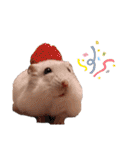 ぽぽ☆ぴの☆しゃるもち☆とら（個別スタンプ：20）
