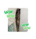 ひまちゃんスタンプ #1（個別スタンプ：3）