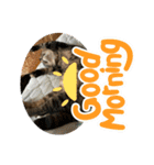 ひまちゃんスタンプ #1（個別スタンプ：6）