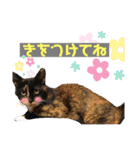 L姉妹 stamp（個別スタンプ：5）