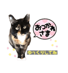 L姉妹 stamp（個別スタンプ：7）