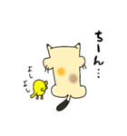 おしりネコ（個別スタンプ：13）