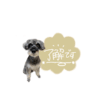 あおアオao（個別スタンプ：2）