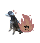 あおアオao（個別スタンプ：8）