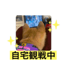 豆柴六甲くん。野球編。（個別スタンプ：13）