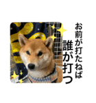豆柴六甲くん。野球編。（個別スタンプ：16）