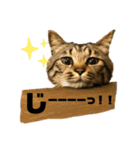 キジトラねこさん（個別スタンプ：2）