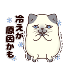 ねこ大福～老いには勝てない～（個別スタンプ：33）