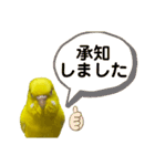 セキセイインコ ピッピちゃんの敬語（個別スタンプ：4）