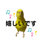 セキセイインコ ピッピちゃんの敬語（個別スタンプ：29）