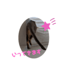 まめ太郎の毎日（個別スタンプ：7）