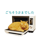 ねこ★デザインスタンプ（個別スタンプ：7）