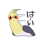 ぴよぴよなんて鳴かない（個別スタンプ：33）