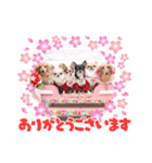 愉快な8ワンズ（個別スタンプ：8）