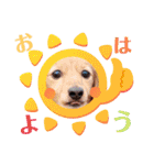 愉快な8ワンズ（個別スタンプ：11）